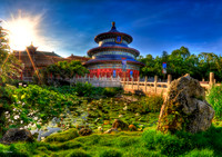 Walt Disney World Photo Gallery Disc