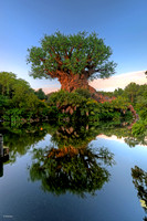 Walt Disney World Photo Gallery Disc